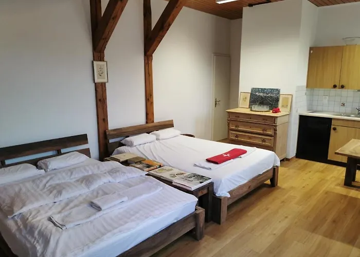 Simple Studio 36M2 In The Center Of Burgdorf Private Parking Small Bathroom